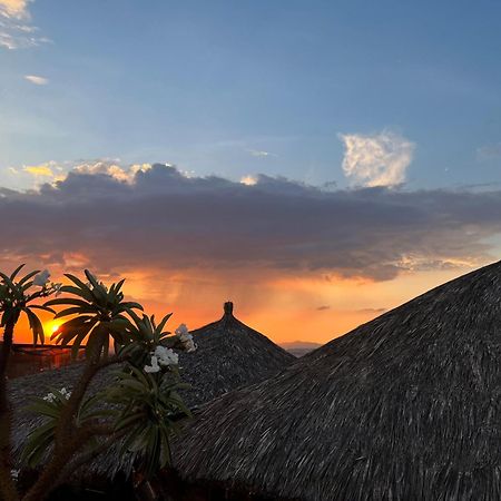 ホテル Casa Carmona 33 ケレタロ エクステリア 写真
